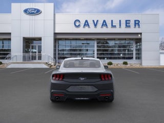 2024 Ford Mustang EcoBoost® Fastback in Chesapeake, VA - Cavalier Automotive Group