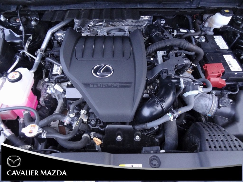 2023 Lexus NX 350 Premium