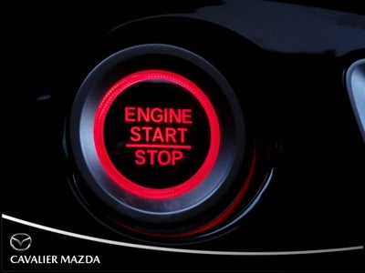 2019 Honda Passport Elite