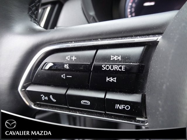 2025 Mazda Mazda CX-90 3.3 Turbo Premium