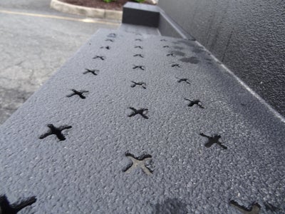 2026 Ford Econoline Cutaway E-350 SRW