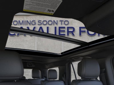 2026 Ford Expedition Platinum®