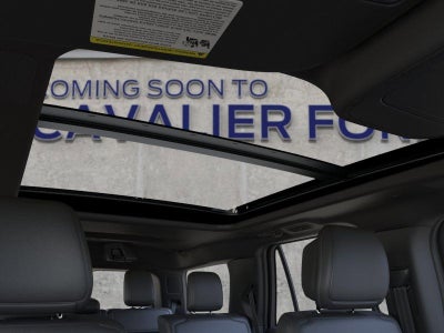 2026 Ford Expedition Platinum®