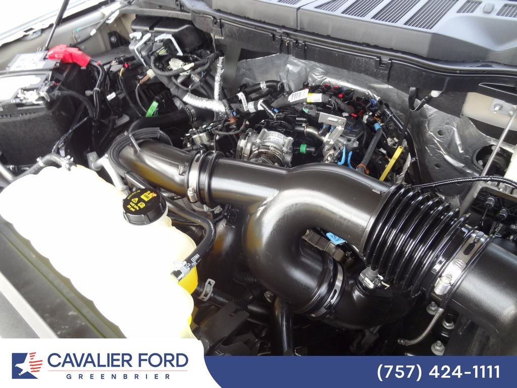 2024 Ford F-150 STX