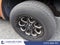 2008 Ford F-150 Harley-Davidson