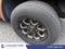 2008 Ford F-150 Harley-Davidson